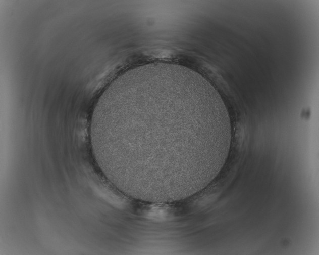 X0000112430612200908281904