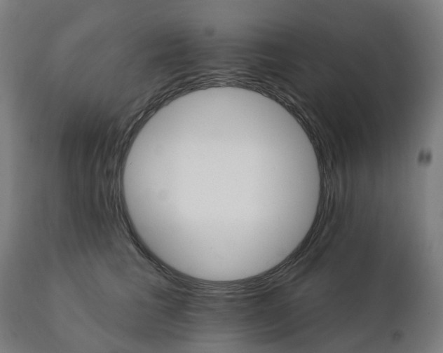 X0000112430613200908281904