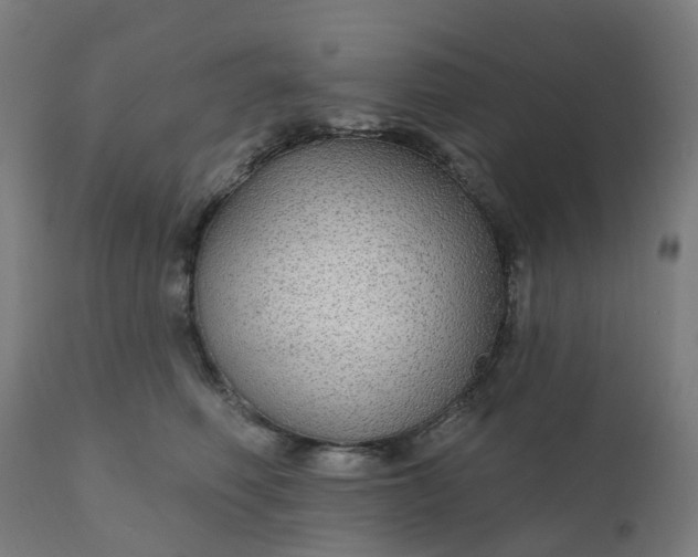 X0000112430614200908281904