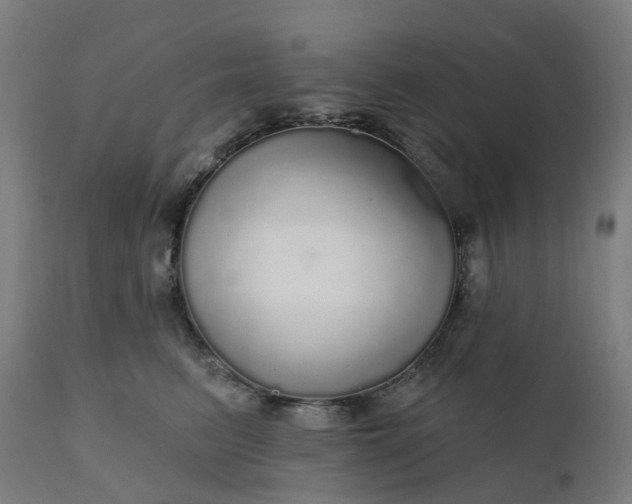 X0000112430615200908281904