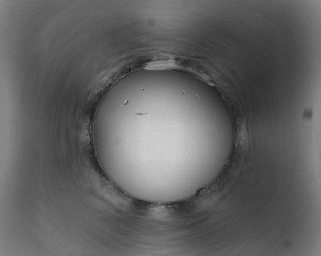 X0000112430616200908281904