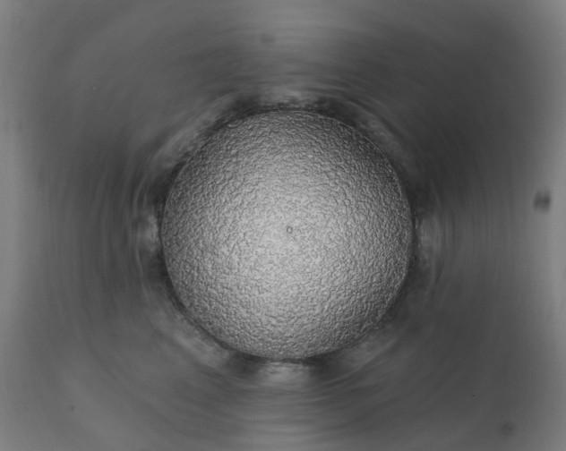 X0000112430617200908281904