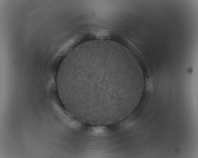 X0000112430618200908281904