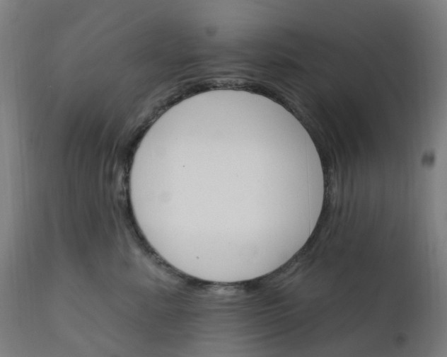 X0000112430619200908281904