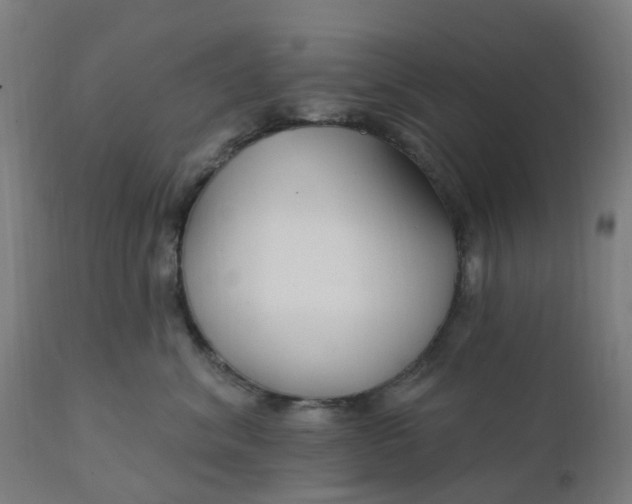 X0000112430620200908281904