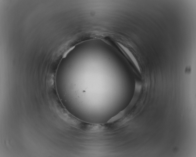 X0000112430621200908281904