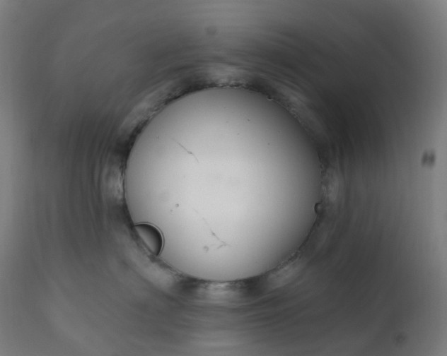 X0000112430622200908281904