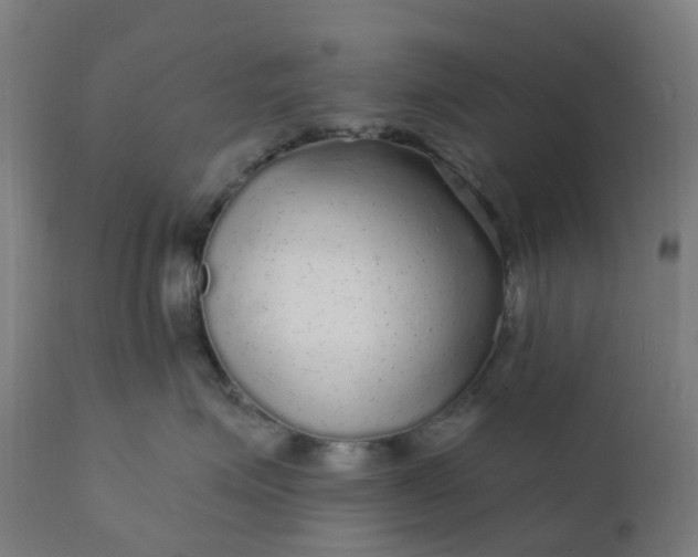 X0000112430623200908281904