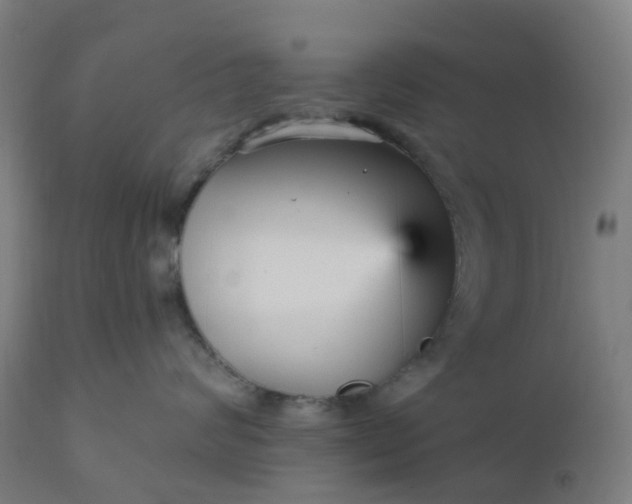 X0000112430624200908281904