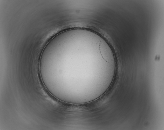 X0000112430625200908281903