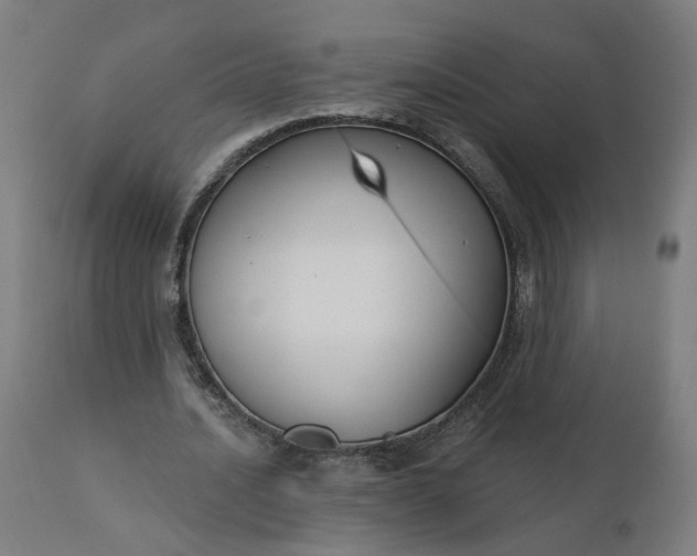 X0000112430628200908281903