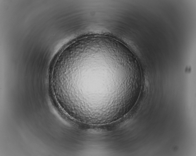 X0000112430630200908281903