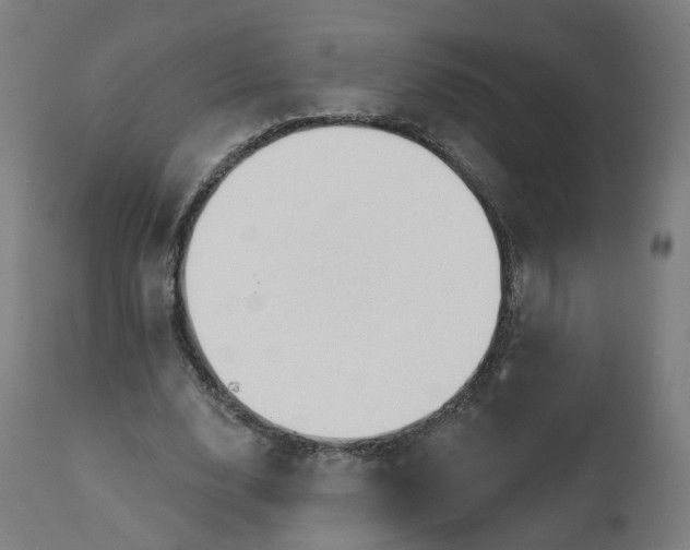 X0000112430632200908281903