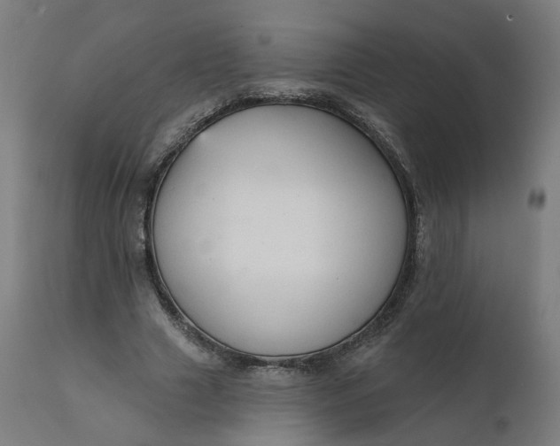 X0000112430633200908281903