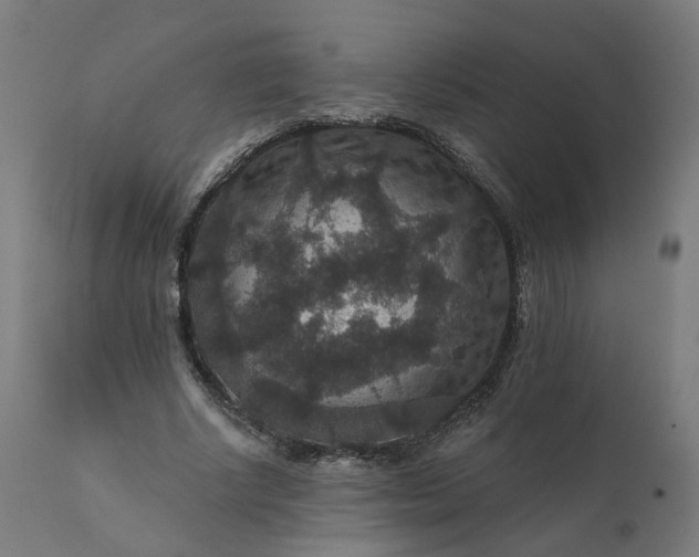 X0000112430634200908281903