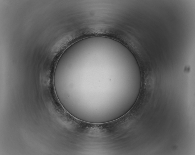 X0000112430635200908281903