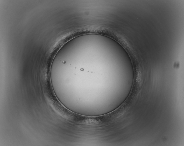 X0000112430636200908281903