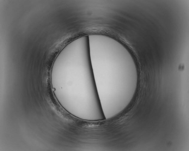 X0000112430637200908281903