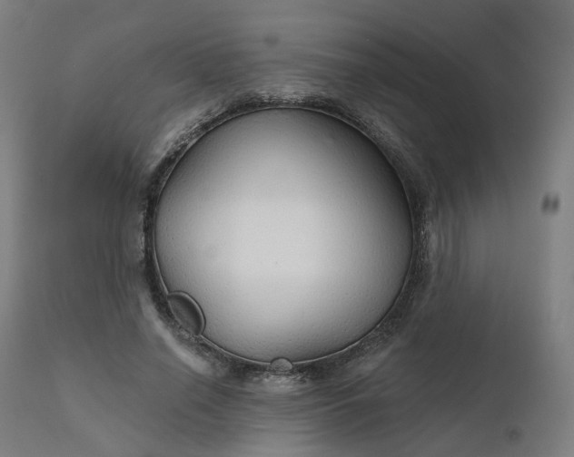 X0000112430638200908281903