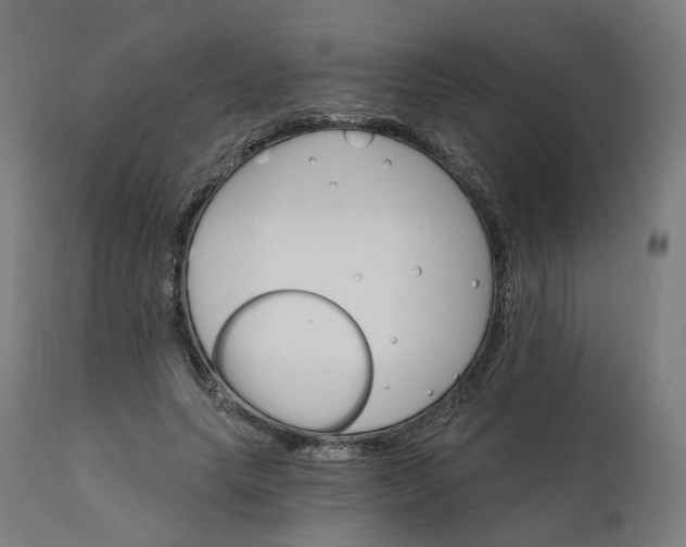 X0000112430639200908281903