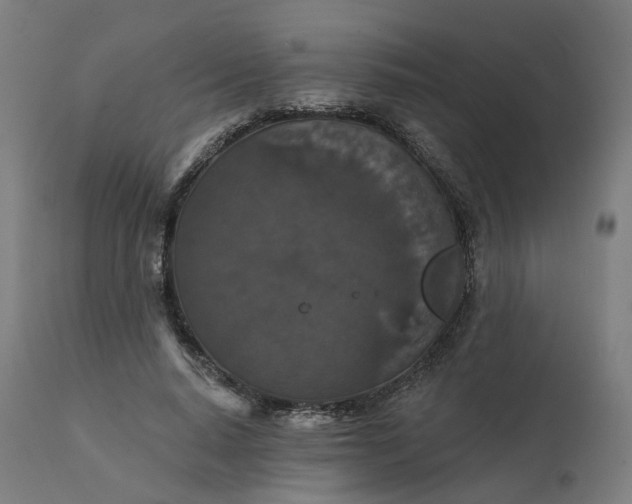 X0000112430640200908281903