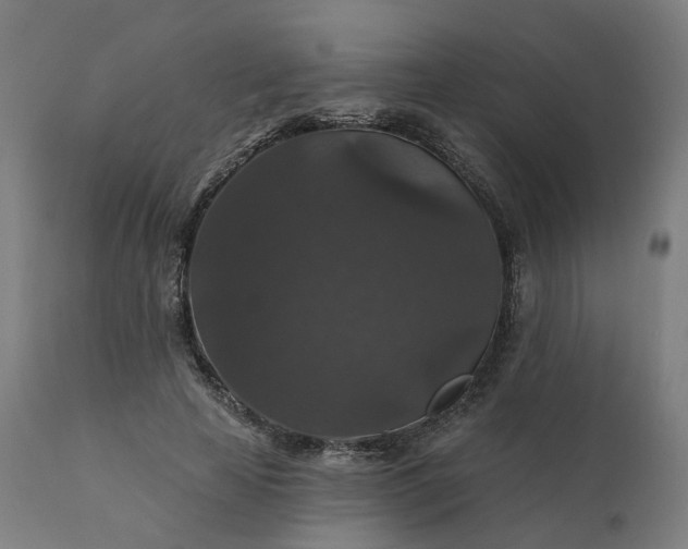 X0000112430641200908281903