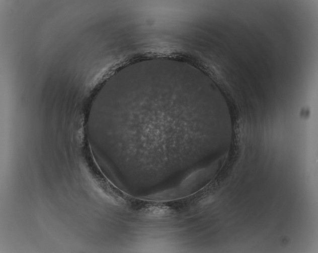 X0000112430642200908281903