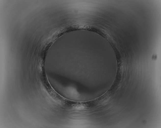 X0000112430643200908281903