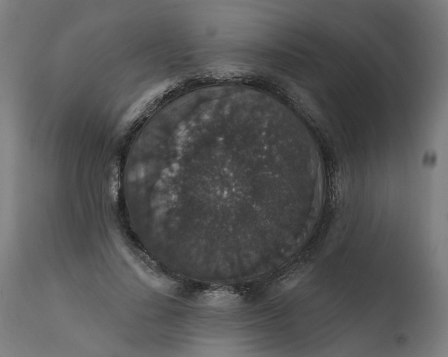 X0000112430644200908281903