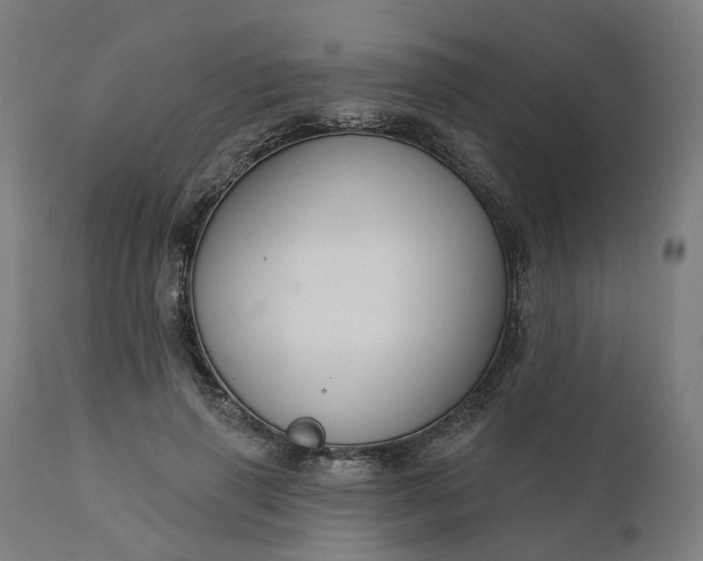 X0000112430645200908281903