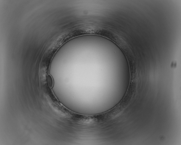 X0000112430646200908281903