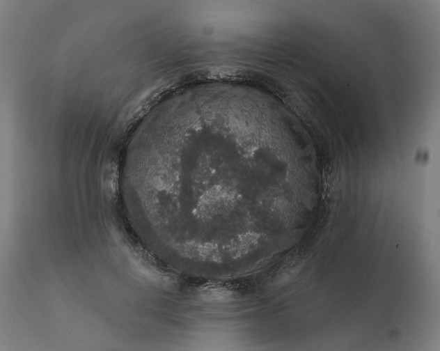 X0000112430648200908281903