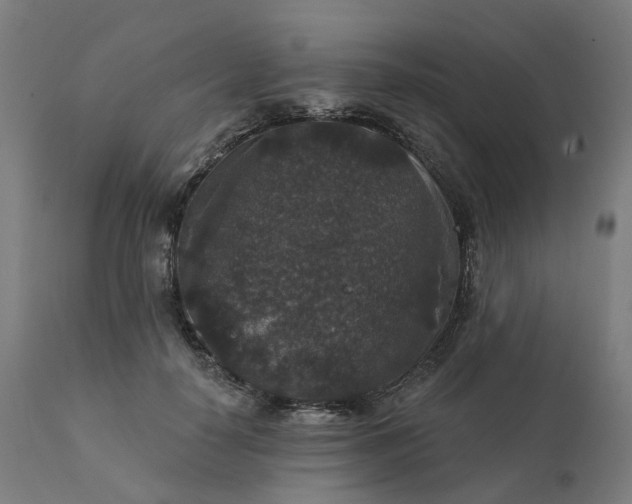 X0000112430650200908281903