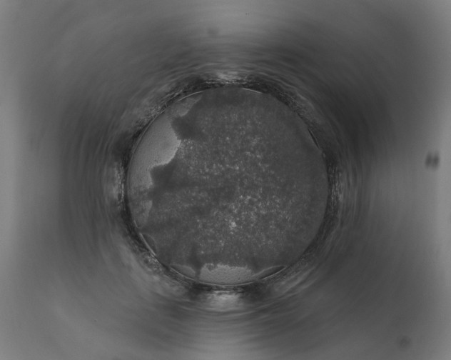 X0000112430651200908281903