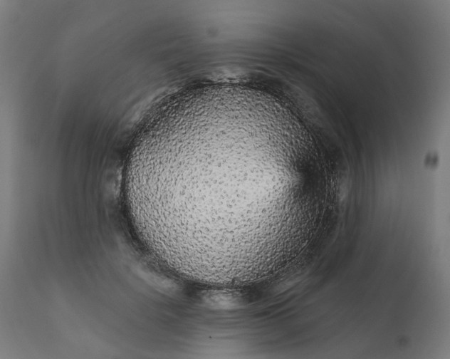 X0000112430652200908281903