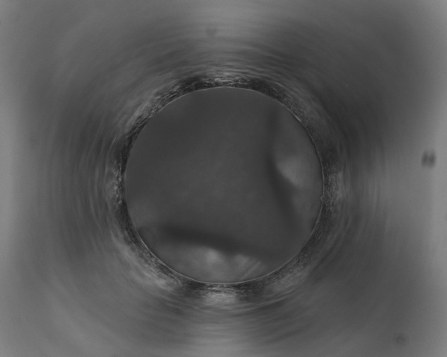 X0000112430653200908281904