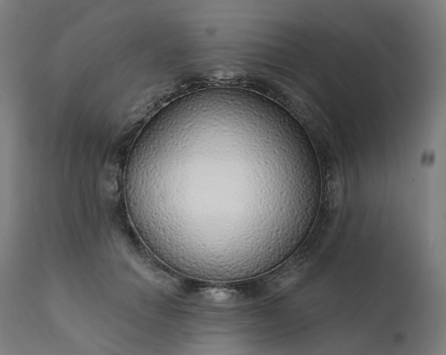 X0000112430654200908281904