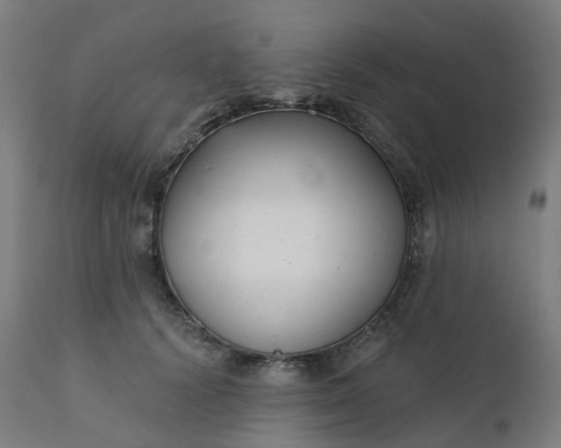 X0000112430656200908281904