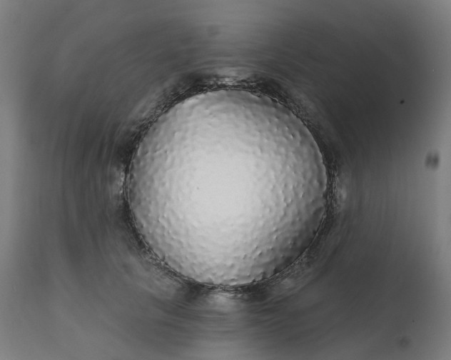 X0000112430657200908281904