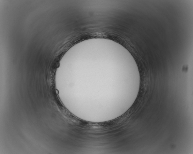 X0000112430658200908281904