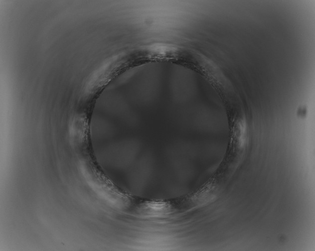 X0000112430659200908281904