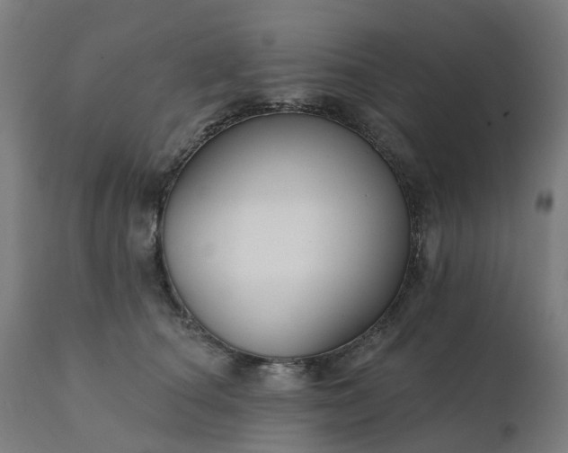 X0000112430660200908281904