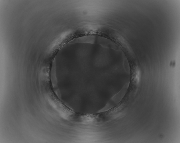 X0000112430661200908281904