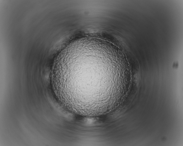 X0000112430662200908281904