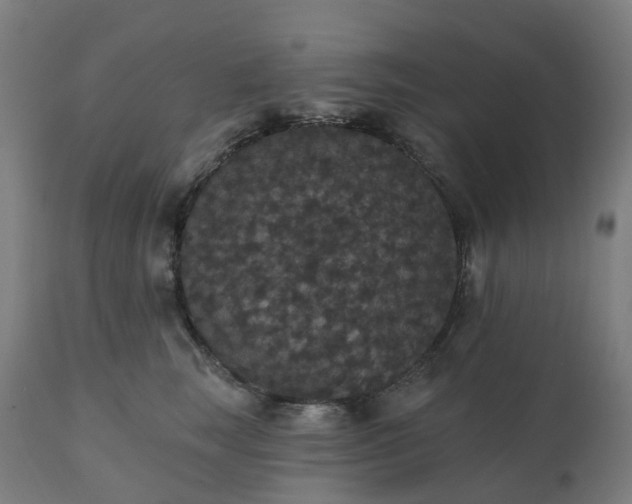 X0000112430663200908281904