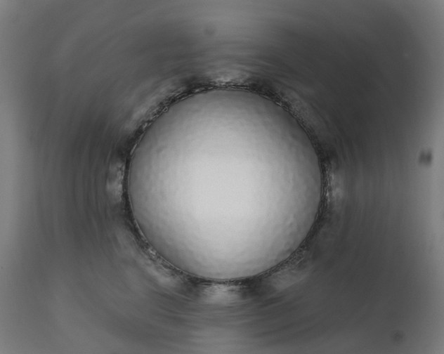 X0000112430664200908281904