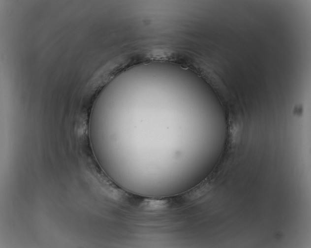 X0000112430665200908281904