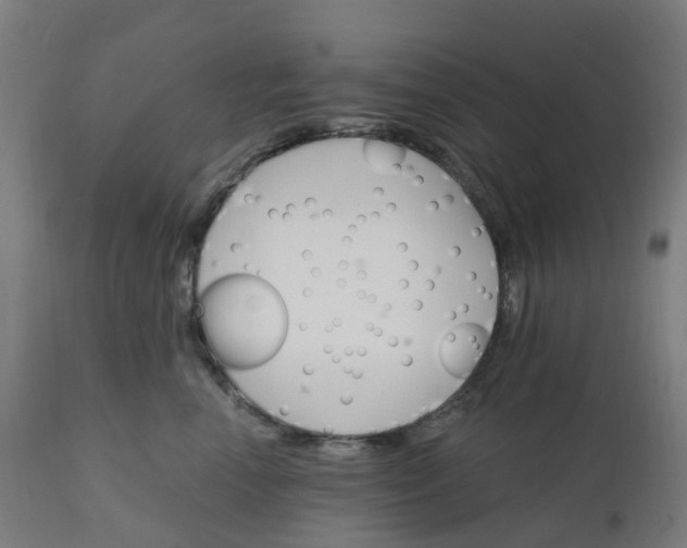 X0000112430666200908281904