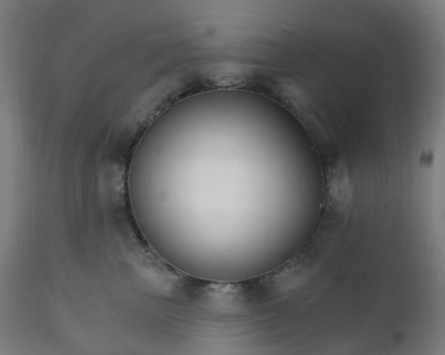 X0000112430667200908281904