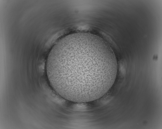 X0000112430668200908281904